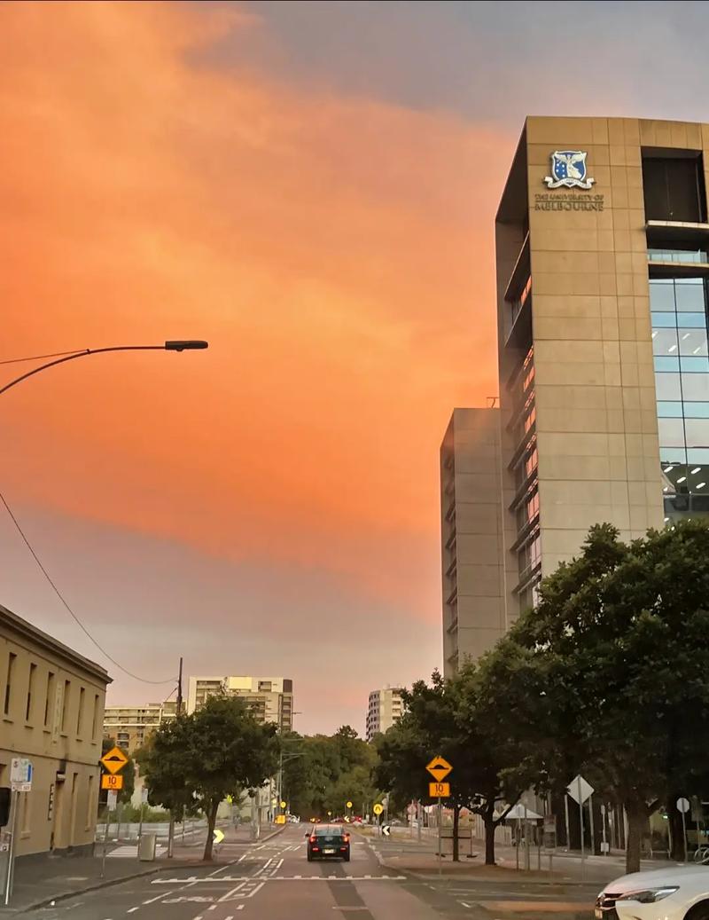 纽约州立大学宾汉姆顿分校